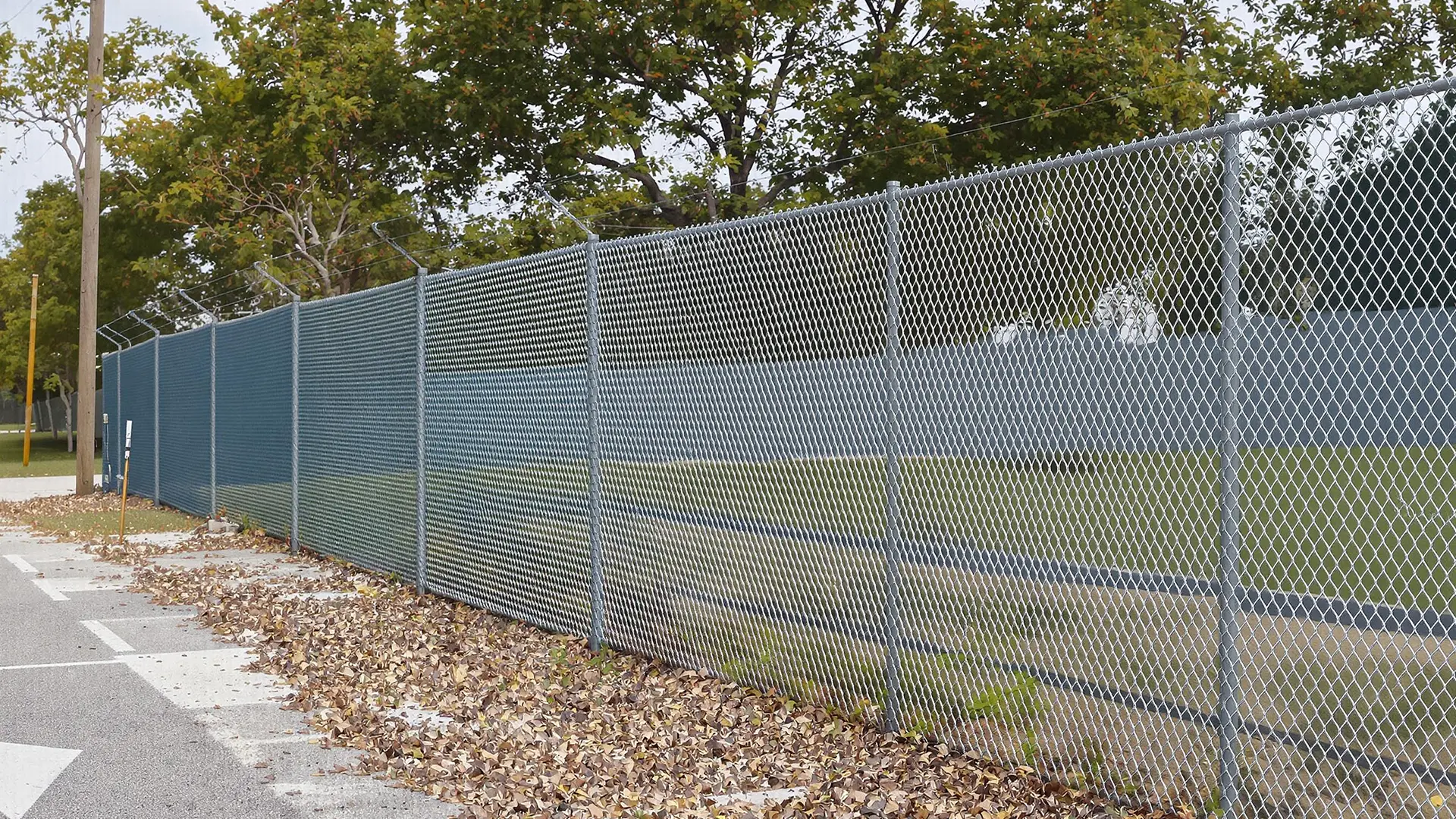 A chain-link fence topped with multiple strands of barbed wire runs alongside a road. The fence encloses a grassy field and is bordered by scattered leaves on the pavement.